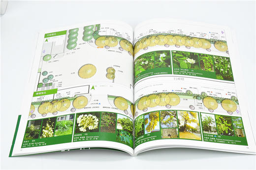 北京林业大学校园植物导览手册 8426 科技 中国林业出版社 畅销书 商品图3