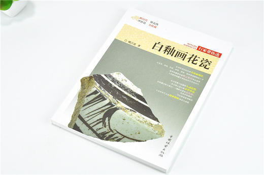 白釉画花瓷 9885 姚江波 行家带你选 断时代 辨真伪 评价值 为收藏 中国林业出版社 正版畅销书 商品图2