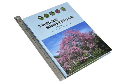 华南地区常见园林植物识别与应用 乔木卷 9740 沈海岑 中国林业出版社 畅销书 商品图1