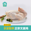【整鸡未切】正宗海南文昌鸡1kg/整只丨去掉鸡内脏丨京东/顺丰包邮FX- A-2393 商品缩略图0