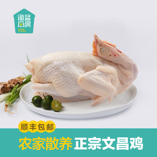 【整鸡未切】正宗海南文昌鸡1kg/整只丨去掉鸡内脏丨京东/顺丰包邮FX- A-2393 商品图0