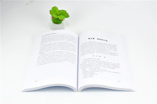 建筑工程质量常见问题与质量事故防治 9187 全国高等院校土建类应用型规划教材 住房和城乡建设领域关键岗位技术人员培训教材 商品图3