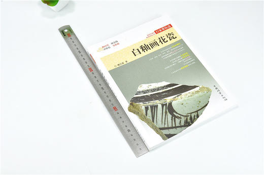 白釉画花瓷 9885 姚江波 行家带你选 断时代 辨真伪 评价值 为收藏 中国林业出版社 正版畅销书 商品图1