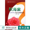 秋海棠-养花专家解惑答疑 王凤祥 6185 花卉培育 形态 习性 繁殖 栽培 应用 病虫害预防 中国林业出版社 畅销书籍 商品缩略图0
