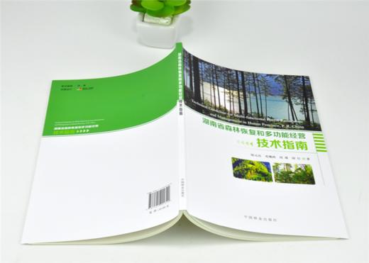 湖南省森林恢复和多功能经营技术指南 0132 陆元昌 邓鹰鸿 国红 刘瑾 著 中国林业出版社 商品图3