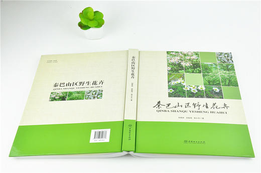 秦巴山区野生花卉 9973 刘青林 吴振海 曾小冬 著 中国林业出版社 商品图4