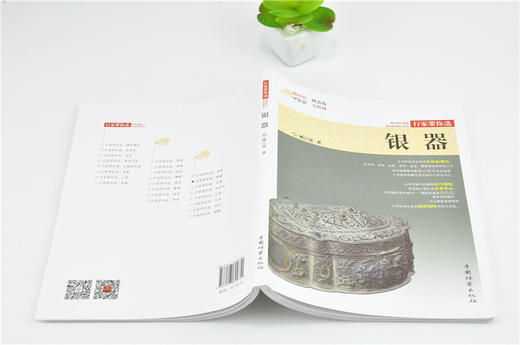 银器 9975 姚江波 行家带你选 断时代 辨真伪 评价值 为收藏 中国林业出版社 正版畅销书 商品图4