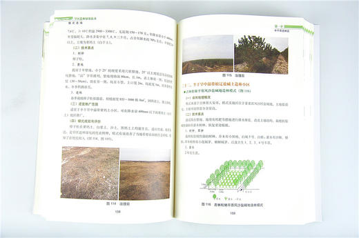 旱区造林绿化技术模式精选 9547 绿洲荒漠平原黄土高原山地沙漠盆地丘陵 极干旱造林区 中国林业出版社 畅销书籍 商品图3