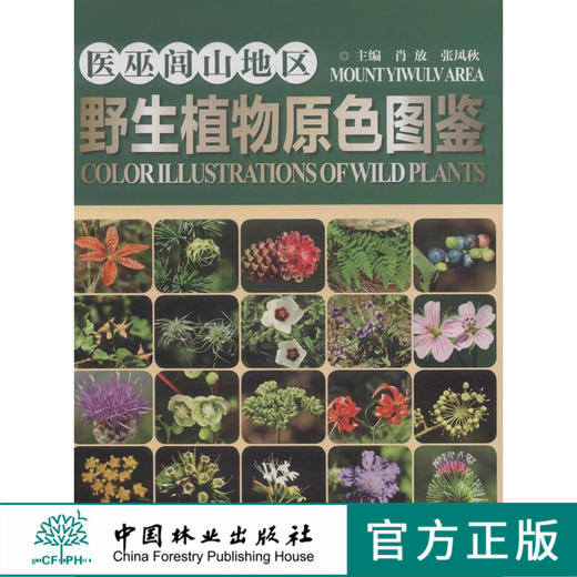 医巫闾山地区野生植物原色图鉴 8125 兰科 天南星科 鸭跖草科 雨久花科 百合科 洋泻科 菊科 蔷薇科 景天科 中国林业出版社畅销书 商品图0