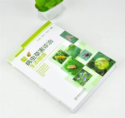 梨病虫草害诊治生态图谱 0238 冯玉增 陈宏义 徐玉杰 梨病害虫害诊断与防治 果园主要杂草识别与防治 果园工具书 中国林业出版社 商品图1