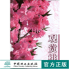 观赏桃 5810 桃花品种介绍 形态特征 桃花育种 繁殖 嫁接 扦插 园林养护及管理 病虫害防治 修剪 桃花的应用 中国林业出版社畅销书 商品缩略图0
