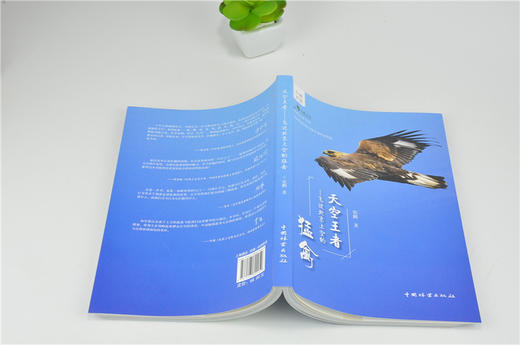 天空王者 飞过北京上空的猛禽 9995 张鹏 著 青少年鸟类科普知识读物 中国林业出版社 畅销书 商品图4