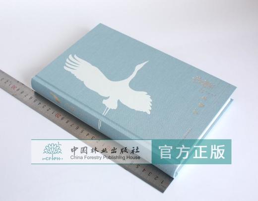 守望 江西林业局主编 0332 诗意鄱湖 与鸟同行 守护家园 湿地鸟类保护 鸟识别 中国林业出版社 商品图1