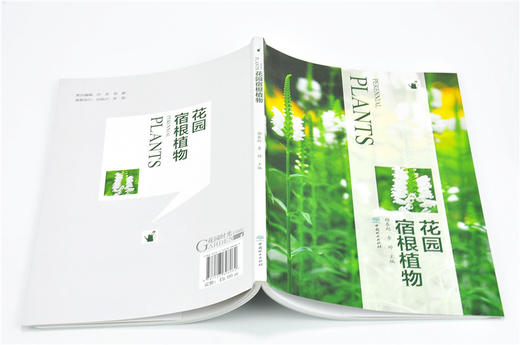 花园宿根植物 9808 常用宿根植物种类介绍 花卉培育栽培繁殖宿根与球根植物搭配病虫害防治 容器花园私家庭院花园花艺景观 畅销书 商品图4