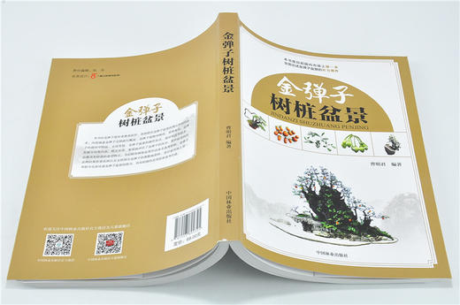 正版包邮金弹子树桩盆景 曹明君 9232 全面论述金弹子的实力著作理论创作栽培育桩根育技术 盆景书籍 中国林业出版社 商品图3
