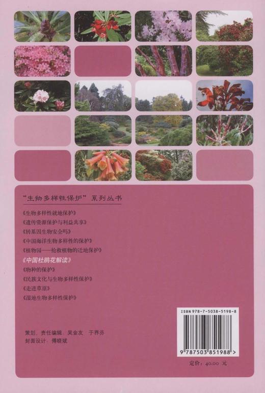 中国杜鹃花解读 中国林业出版社 花卉 商品图3