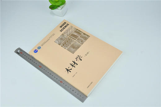 木材学  第2版  徐有明  0246 普通高等教育十一五规划教材 国家林业和草原局普通高等教育十三五规划教材 中国林业出版社 商品图1