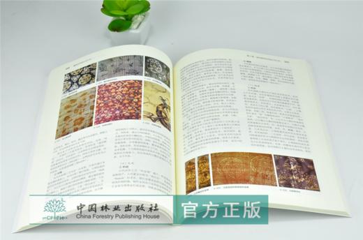装饰艺术设计与工艺 0338 高阳 李睿 编著 国家林业和草原局普通高等教育十三五规划教材 中国林业出版社 商品图3