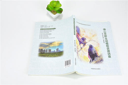 佛山市野生动植物资源调查 9671 佛山市建设国*森林城市系列丛书 中国林业出版社 正版畅销书 商品图3