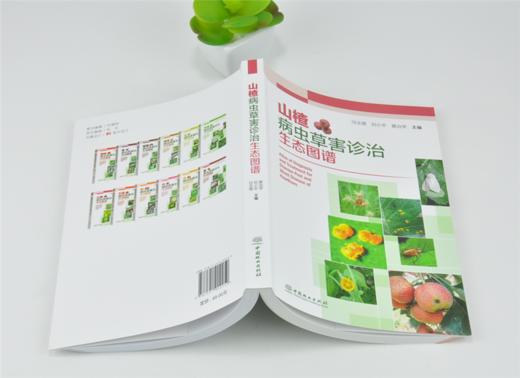 山楂病虫草害诊治生态图谱 0225 冯玉增 刘小平 黄治学 山楂病害虫害诊断与防治 果园主要杂草识别与防治 工具书 中国林业出版社 商品图4