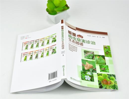 板栗病虫草害诊治生态图谱 0223 冯玉增 张爱玲 魏岚 板栗病害虫害诊断与防治 果园主要杂草识别与防治 工具书 中国林业出版社 商品图4