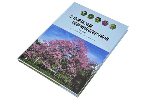 华南地区常见园林植物识别与应用 乔木卷 9740 沈海岑 中国林业出版社 畅销书 商品图2