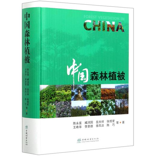 中国森林植被 (精) 陈永富//臧润国//岳天祥//张煜星//王希华 0527 中国林业出版社 商品图4