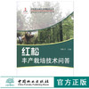 红松丰产栽培技术问答 5986 科技服务林改实用技术丛书 中国林业出版社 畅销书 刘桂丰 商品缩略图0