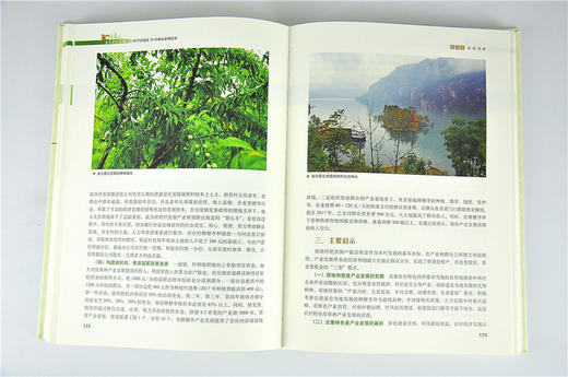 生态建设实践 毕节试验区30年林业发展纪实 9548 高守荣主编 生态修复资源保护绿色产业改革创新科技支撑 中国林业出版社 畅销书 商品图4
