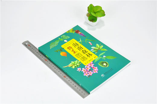 海南森林野菜图谱 9780  拉丁学名 别名 分布 采摘时间 形态特征 药用价值 营养价值食用部位 食用方法 中国林业出版社 商品图1