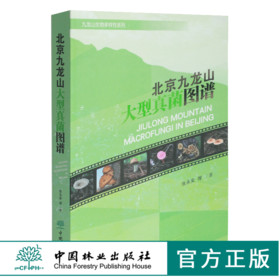 北京九龙山大型真菌图谱 0478 张永安 中国林业出版社