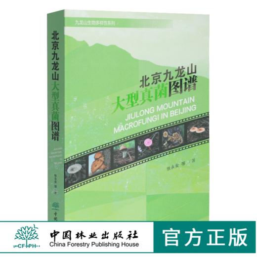 北京九龙山大型真菌图谱 0478 张永安 中国林业出版社 商品图0