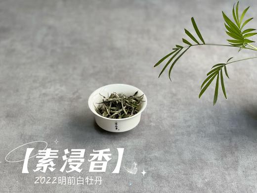 2022明前白牡丹《素浸香》，隐藏于清明白牡丹光环之下的璀璨明珠（100克） 商品图5
