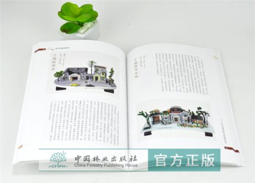 现代创意盆景制作 0285 马伯钦 著 一种与众不同的盆景 微型盆景制作方法 现代创意盆景百景随笔例图 盆景艺术书 中国林业出版社 商品图3