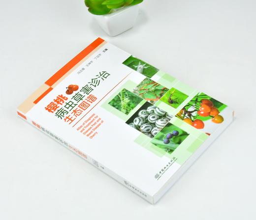 樱桃病虫草害诊治生态图谱 0240 冯玉增 王坤宇 丁征宇 樱桃病害虫害诊断与防治 果园主要杂草诊断与防治 工具书 中国林业出版社 商品图1