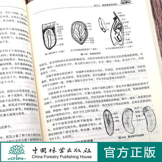 植物与植物生理(第2版高等职业院校农林类专业十三五系列教材)  顾立新//崔爱萍 0363 中国林业出版社 商品图3