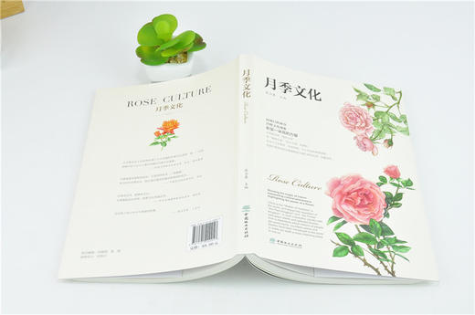 月季文化 0005 张占基 主编 月季盆景食用 名园 南阳月季文化 月季集邮及藏品 书法及摄影 绘画 诗词歌赋 文化鉴赏 中国林业出版社 商品图4