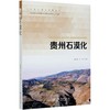 贵州石漠化 顾永顺 王华  0695 中国林业出版社 商品缩略图3