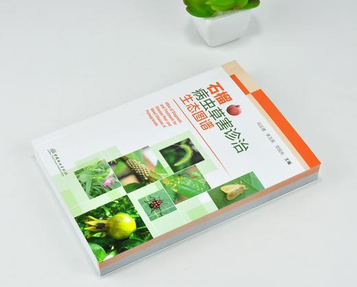 石榴病虫草害诊治生态图谱 0236 冯玉增 李玉英 邓旭先 石榴病害虫害诊断与防治 果园主要杂草识别与防治 工具书 中国林业出版社 商品图2