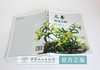 天书 铁皮石斛 罗仲春 9872 铁皮石斛原生态种植技术要点 识别要点 原生态栽培 中国林业出版社畅销书 商品缩略图4
