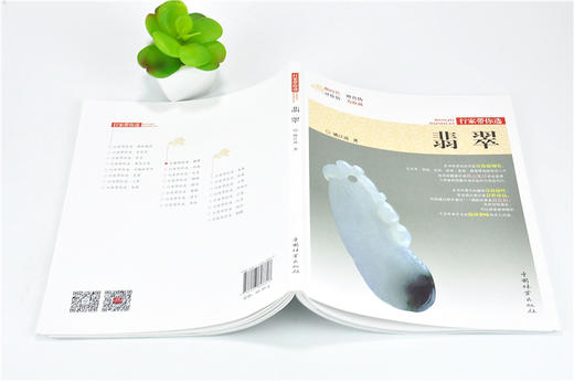翡翠 行家带你选 9880 姚江波 收藏鉴赏 段时代 辨真伪 评价值 为收藏  中国林业出版社 正版畅销书 商品图4