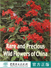 中国珍稀野生花卉2英文2654 植物学RARE AND PRECIOUS WILD FLOWERS OF CHINA2中国林业出版社正版畅销书籍 商品缩略图0