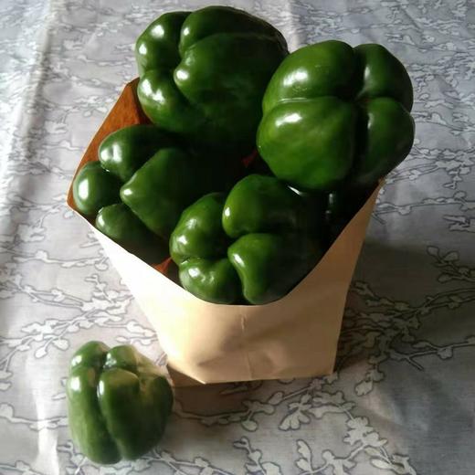 自然农法种植8种蔬菜组合箱 商品图3