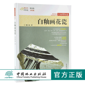 白釉画花瓷 9885 姚江波 行家带你选 断时代 辨真伪 评价值 为收藏 中国林业出版社 正版畅销书