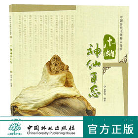 木雕神仙百态 中国传统木雕精品鉴赏 5398 中国林业出版社 官方自营店正版畅销书