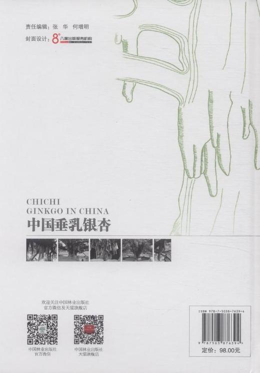 中国垂乳银杏 中国林业出版社7639  科技 商品图3