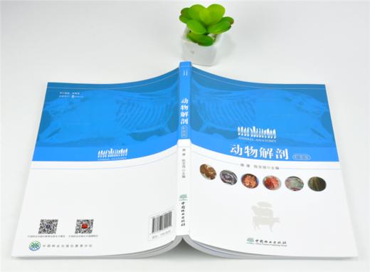 动物解剖 彩图版 9991 雍康 陈亚强 解剖运动被皮消化呼吸泌尿生殖心血管免疫神经感觉器官内分泌系统家禽 中国林业出版社畅销书籍 商品图4