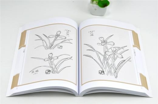 兰言述略 中国兰花古籍注译丛书 0073 袁世俊 中国林业出版社 商品图3