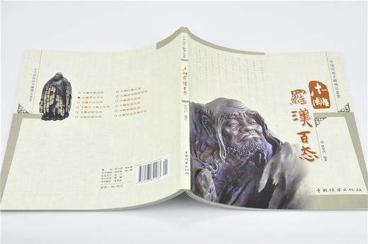 木雕罗汉百态 中国传统木雕精品鉴赏5148木雕 根雕 艺术中国林业出版社官方自营店正版畅销书 商品图4