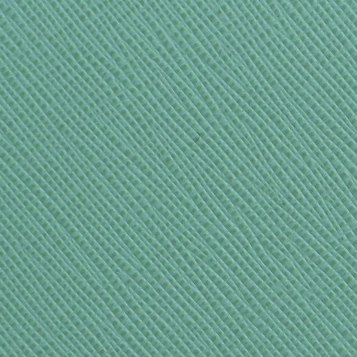 PRADA 普拉达 女士皮革金属字母徽标票夹 绿色 1ML506 QWA F0194 商品图3